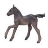 381015_Arabian_Foal_Black_1.png