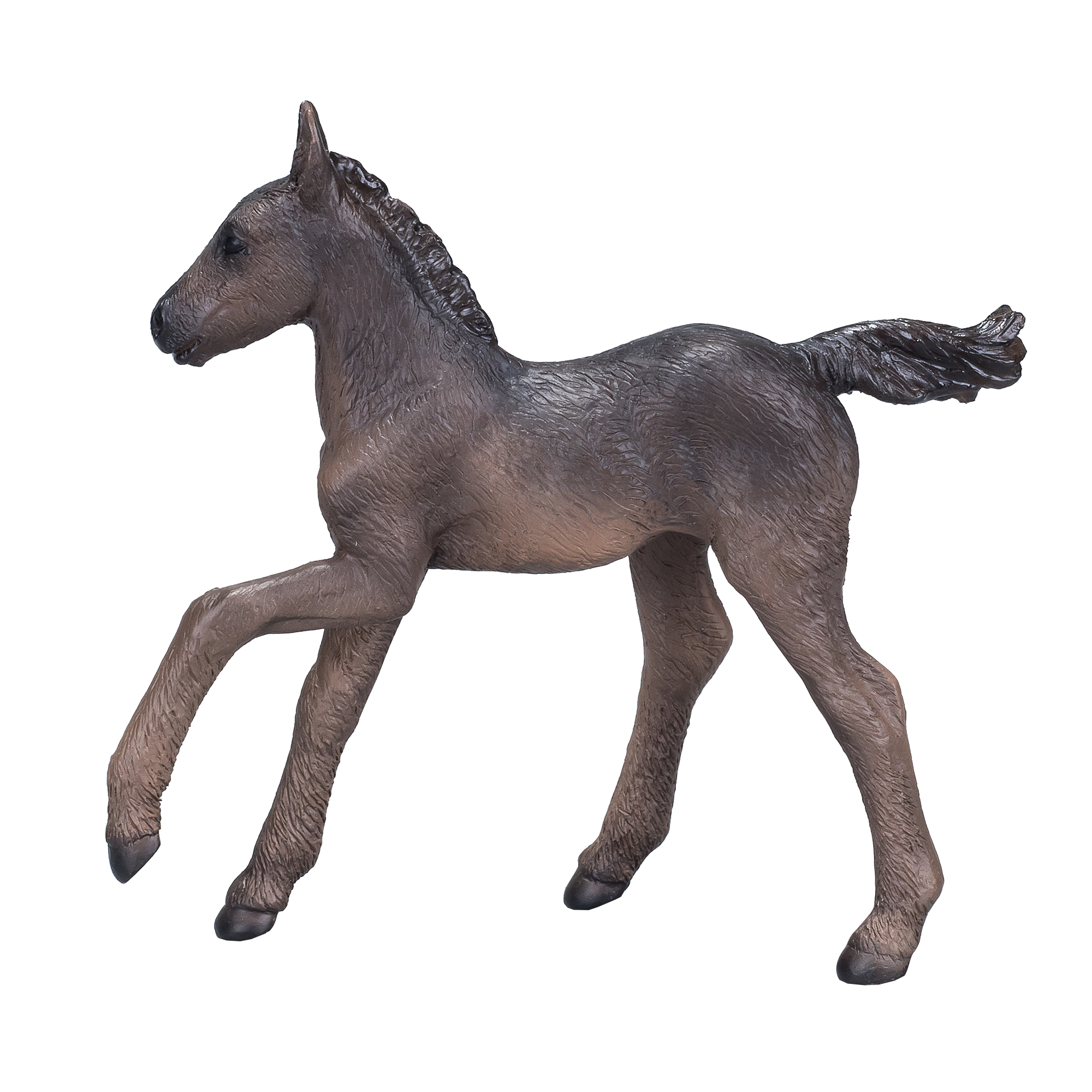 381015_Arabian_Foal_Black_1.png