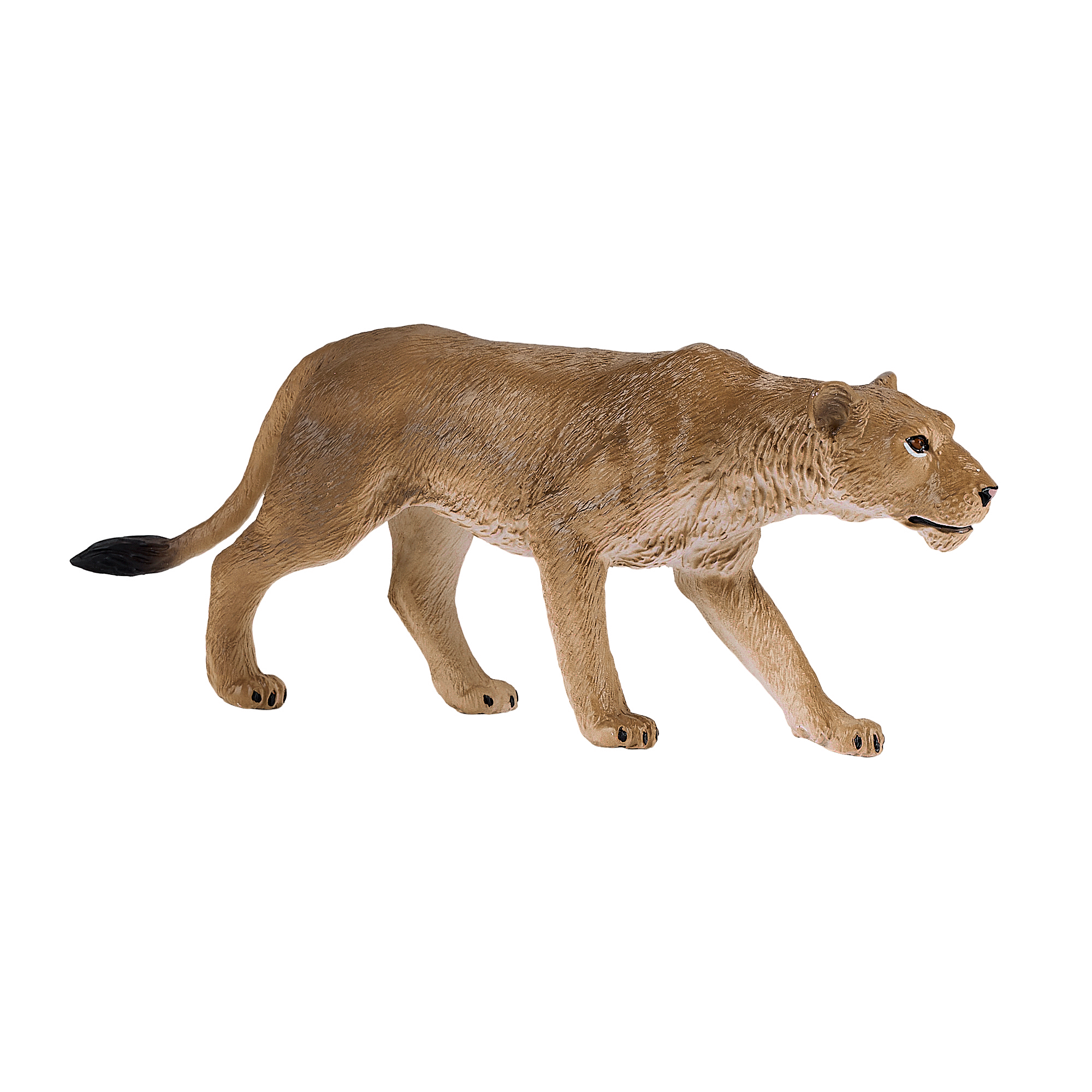 381071_Lioness_1.png
