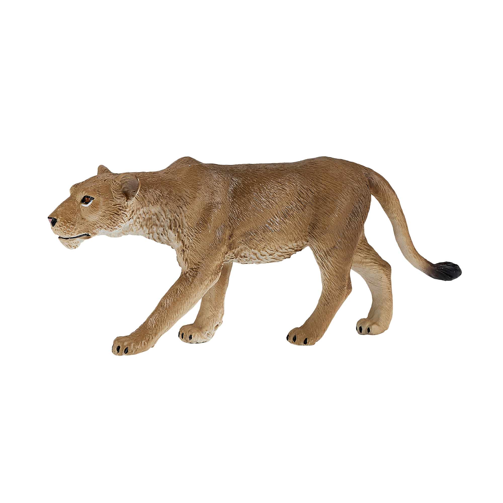 381071_Lioness_3.png