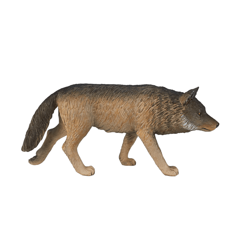 387026_Timber_Wolf_Walking_1.png
