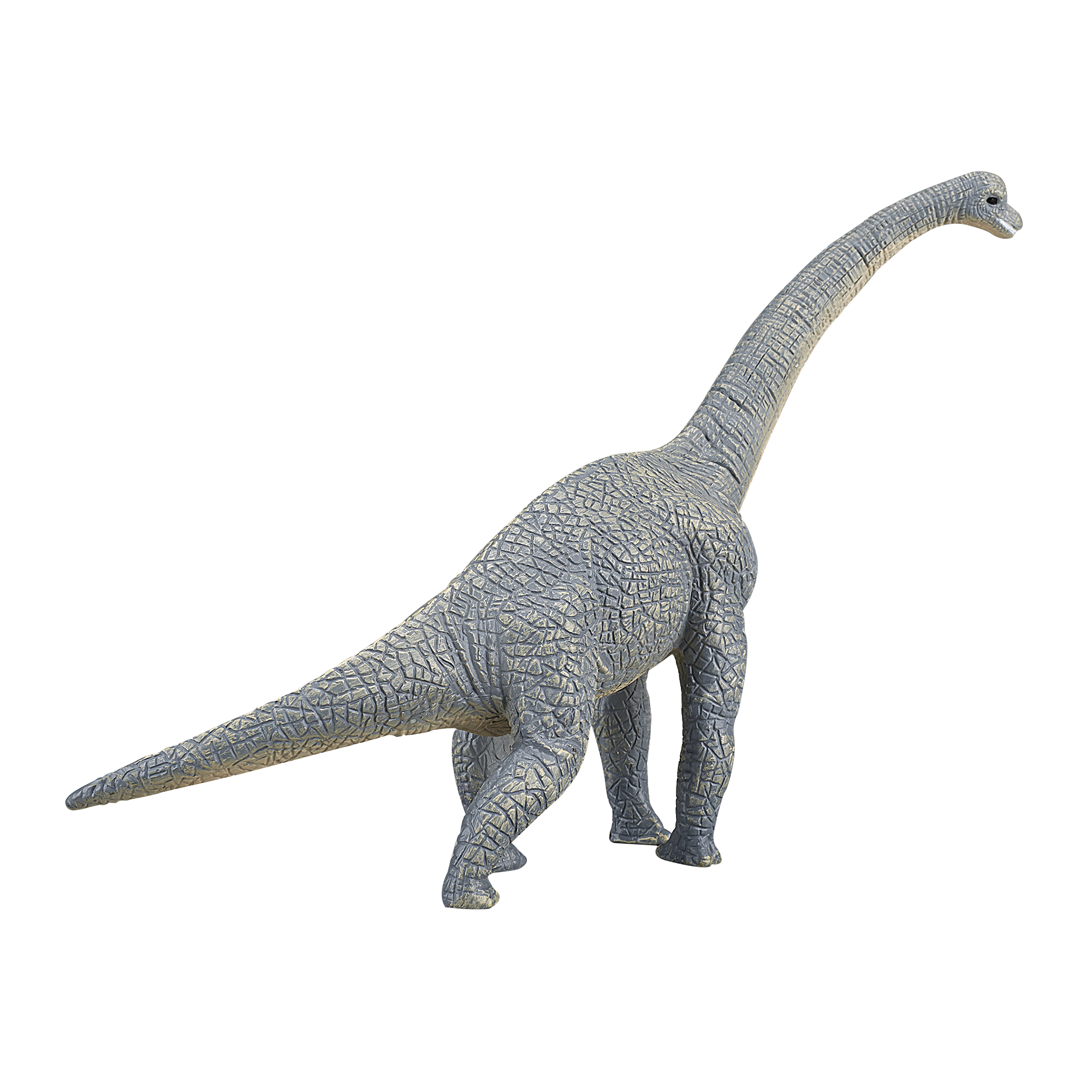 387044_Brachiosaurus_3.png