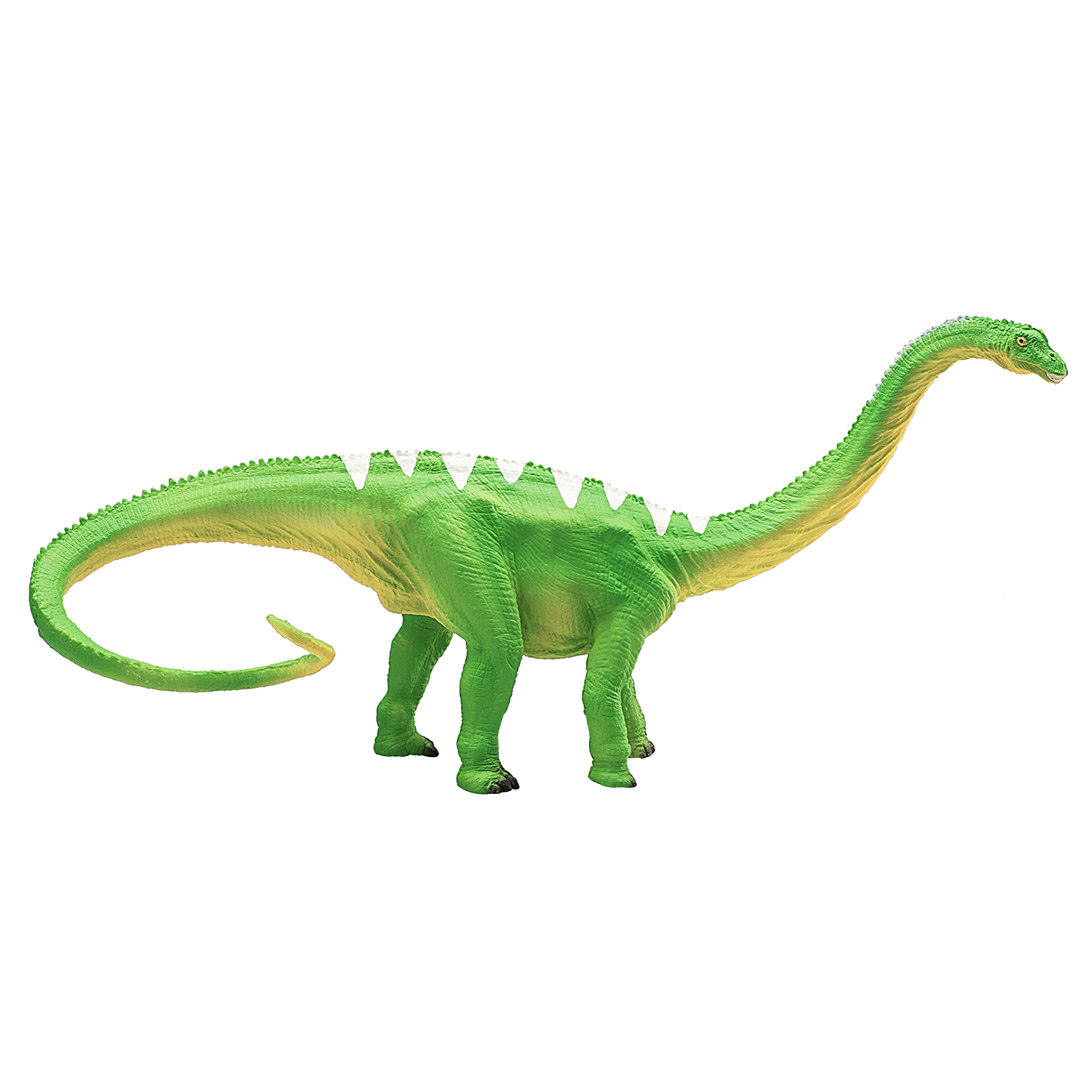 387137_Diplodocus_1.png