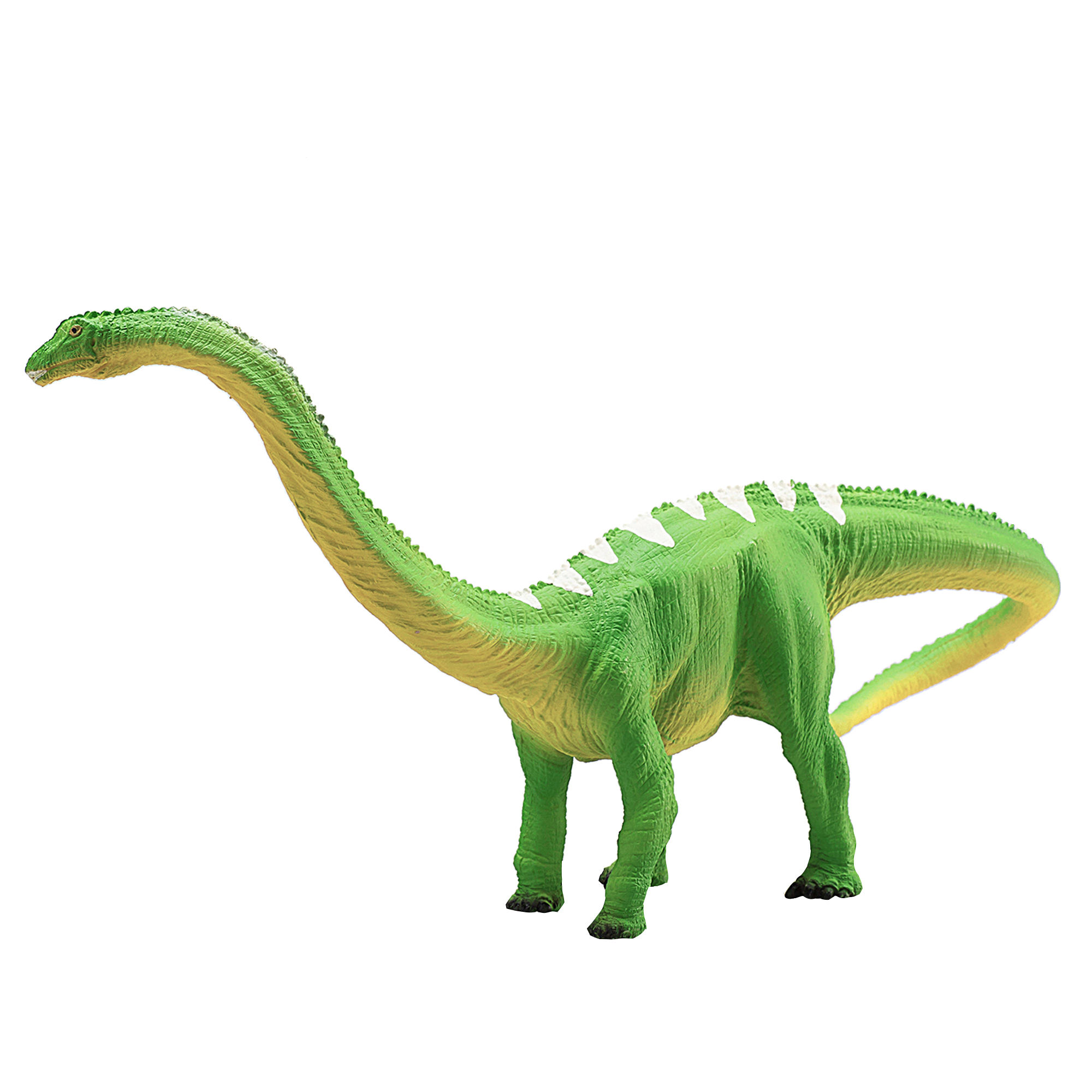 387137_Diplodocus_3.png