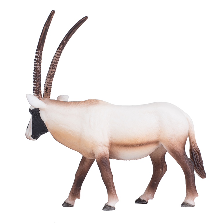 387242_Arabian_Oryx_1.png