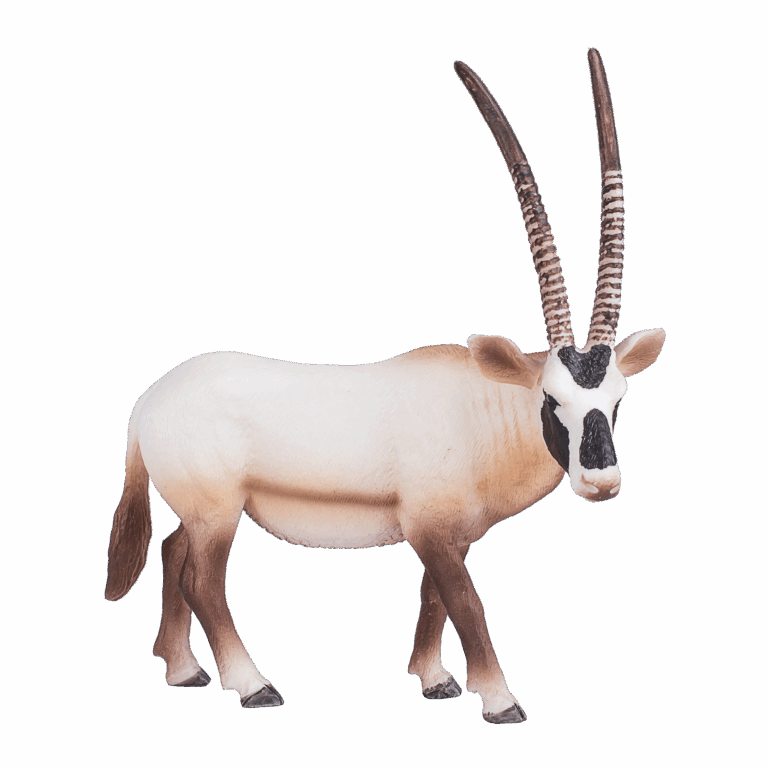 387242_Arabian_Oryx_3.png