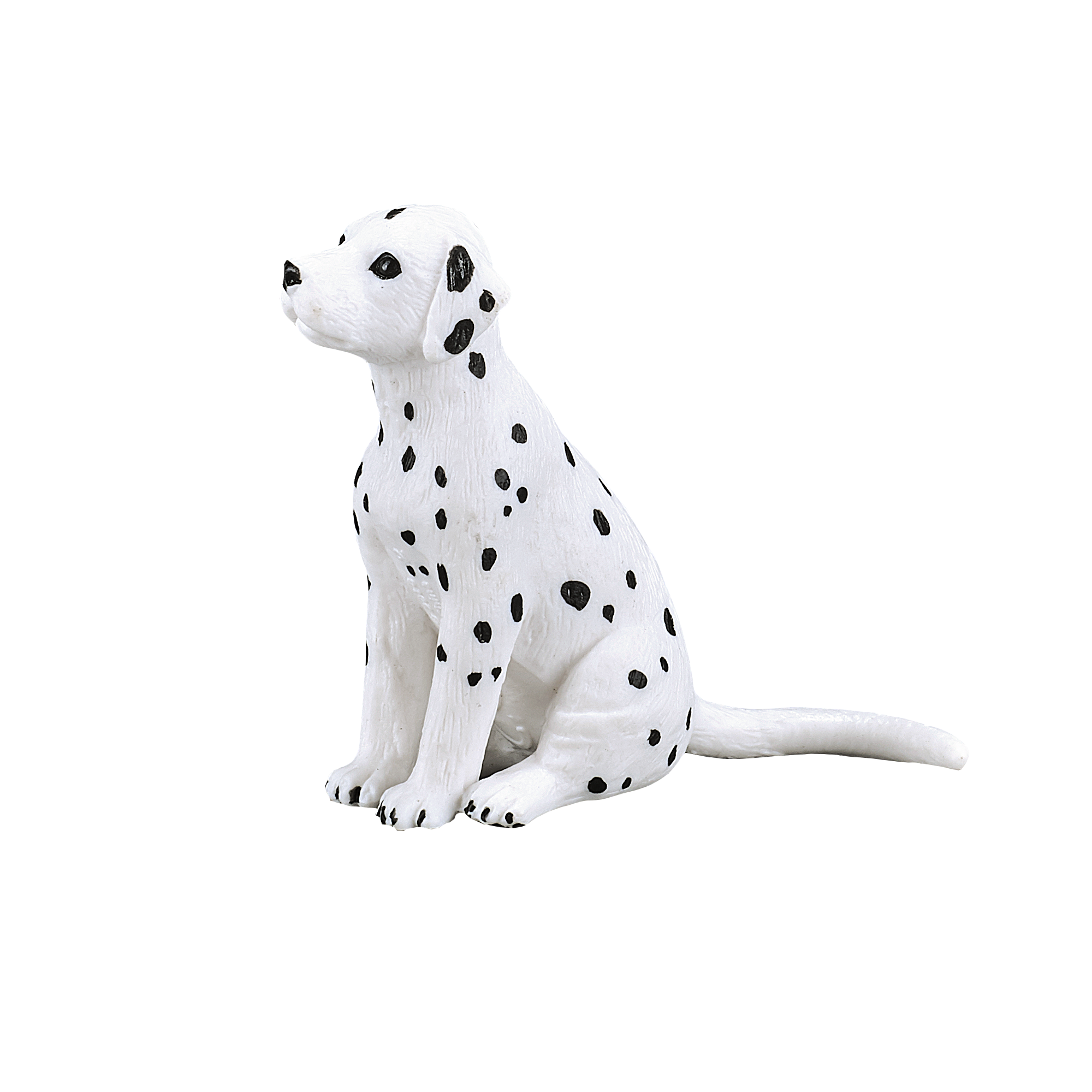 387249_Dalmatian_Puppy_2.png