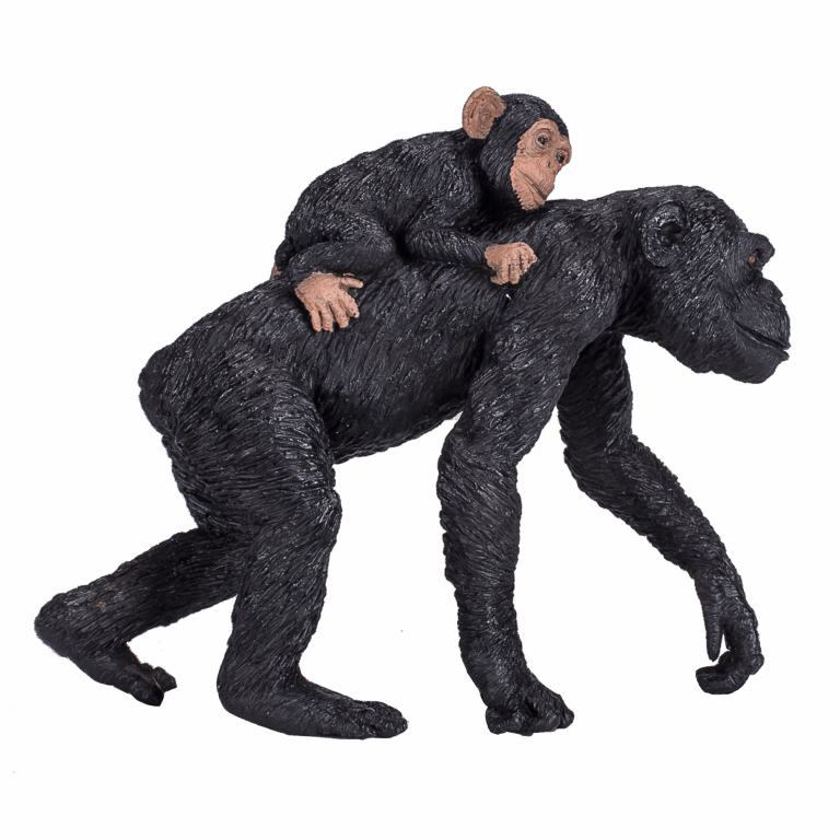 387264_Chimpanzee_and_Baby_2.png