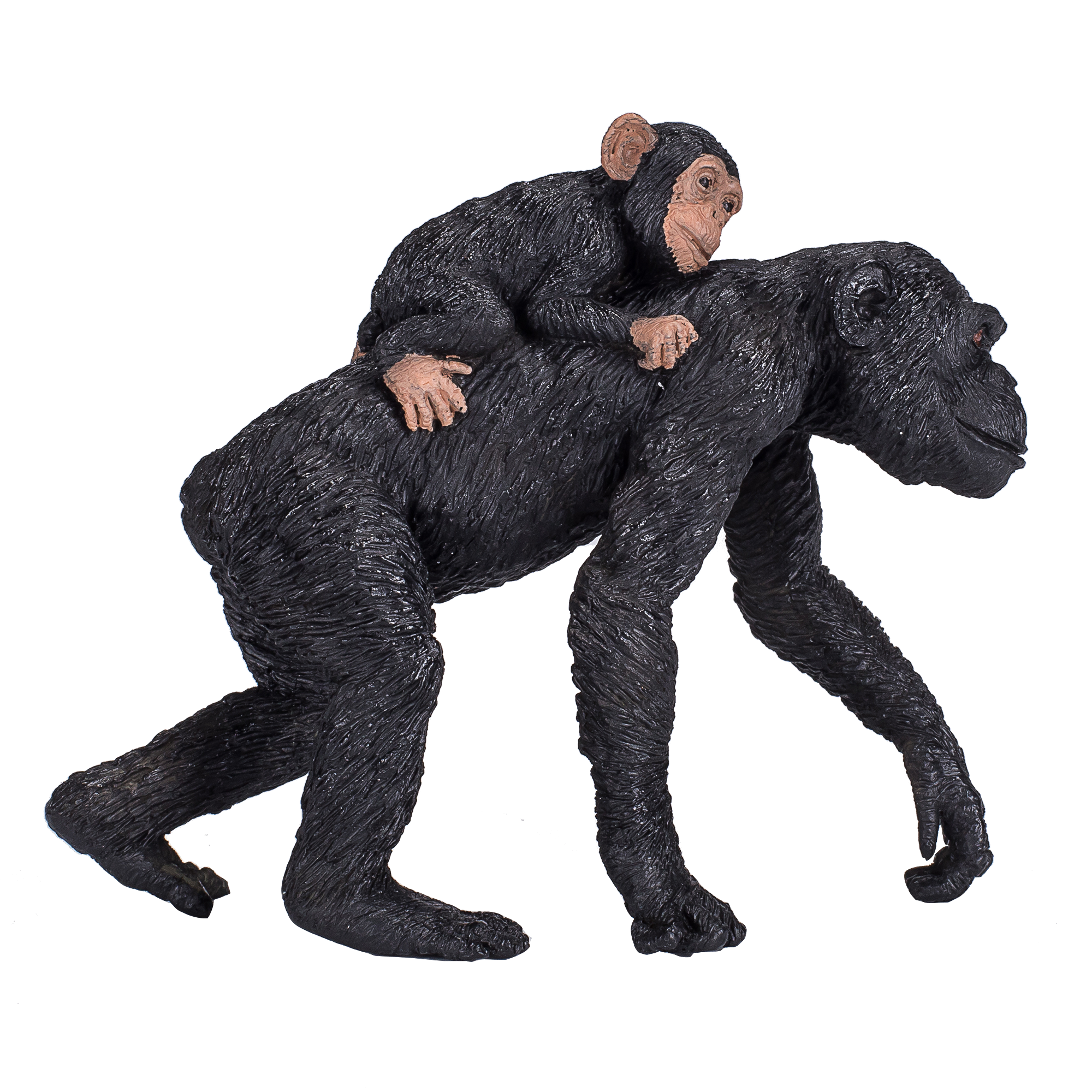 387264_Chimpanzee_and_Baby_2.png