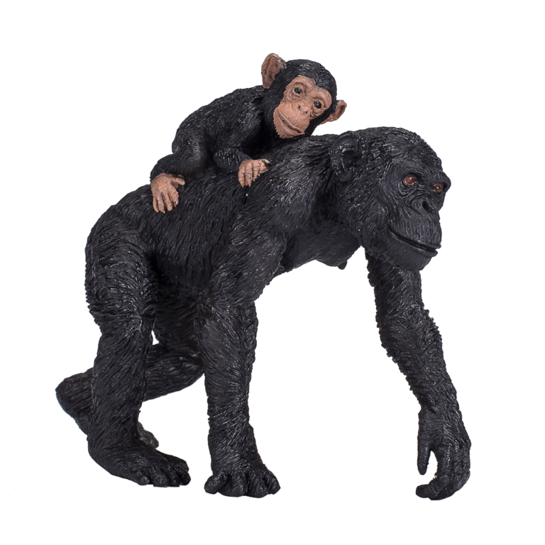 387264_Chimpanzee_and_Baby_4.png