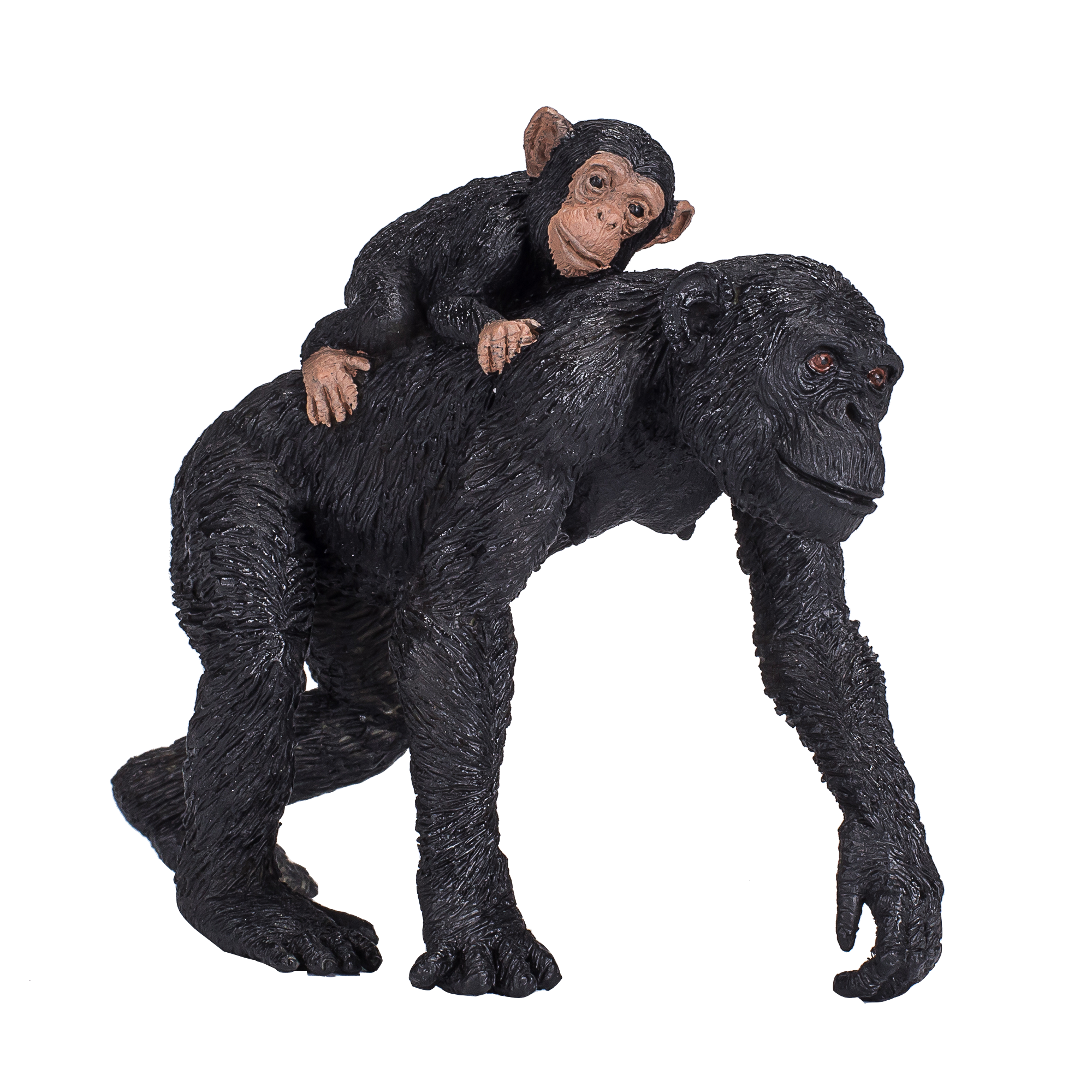 387264_Chimpanzee_and_Baby_4.png
