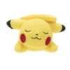 Pokèmon Pikachu Sleeping